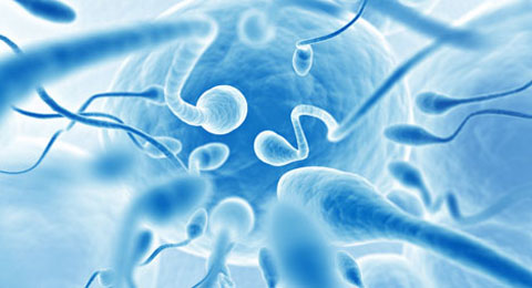 Получение образца спермы